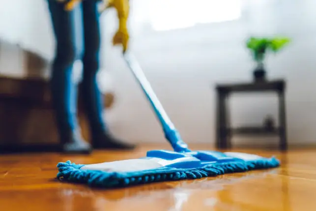 Blue Mop Cleaning Floors