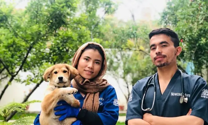Activist Refuses to Leave Afghanistan Without Taking His Dogs and His Entire Work Team